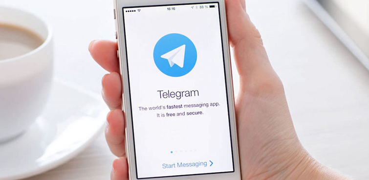Telegram---_-2.jpg