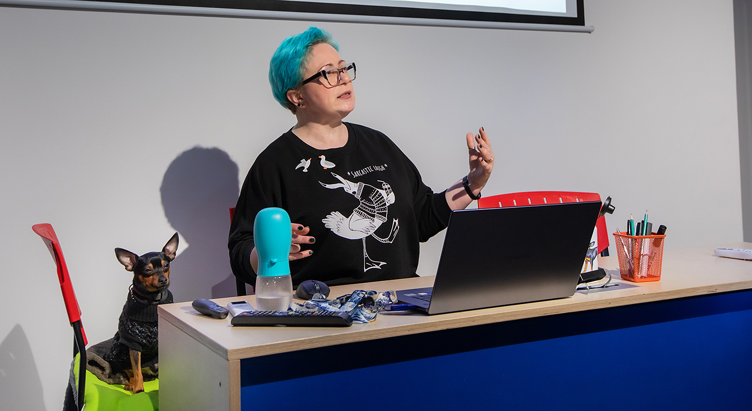 ���������� � ��������� DOCA-2026: ������ � ����������� ���������